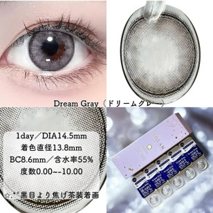 MOLAK 1day Dream Gray モラクワンデー ドリームグレー